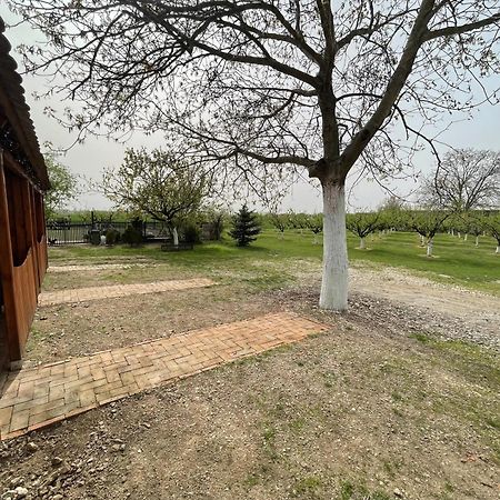 Salas Isailovi Sremska Mitrovica Luaran gambar