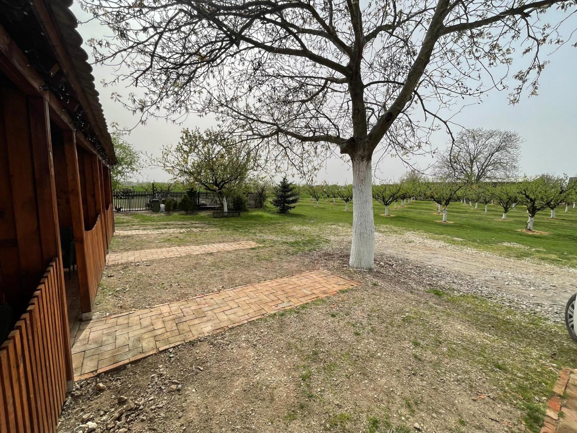 Salas Isailovi Sremska Mitrovica Luaran gambar